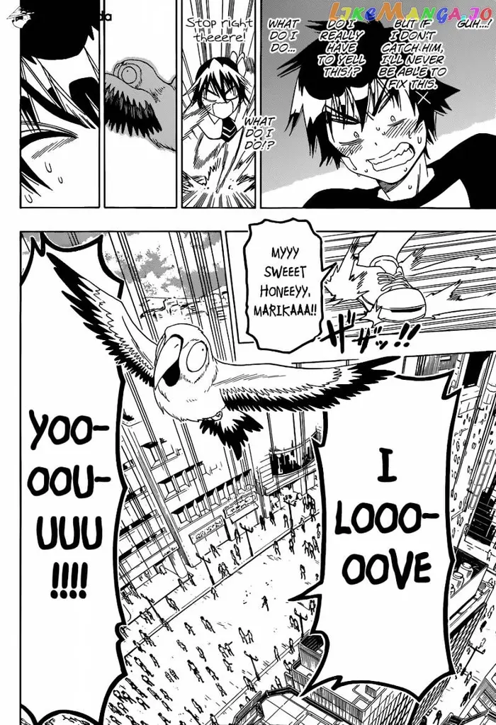 Nisekoi Chapter 104 image 17_optimized